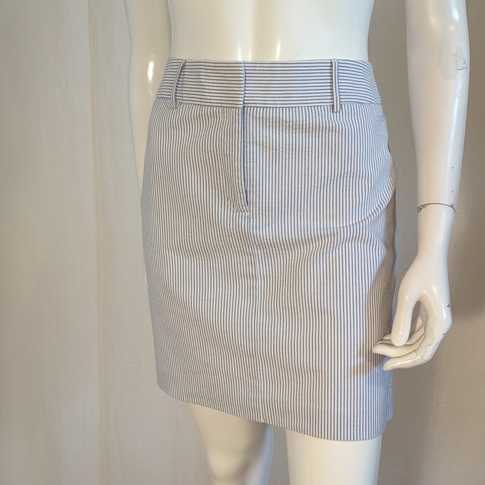 Ann Taylor Seersucker Mini Skirt Blue And White 10P